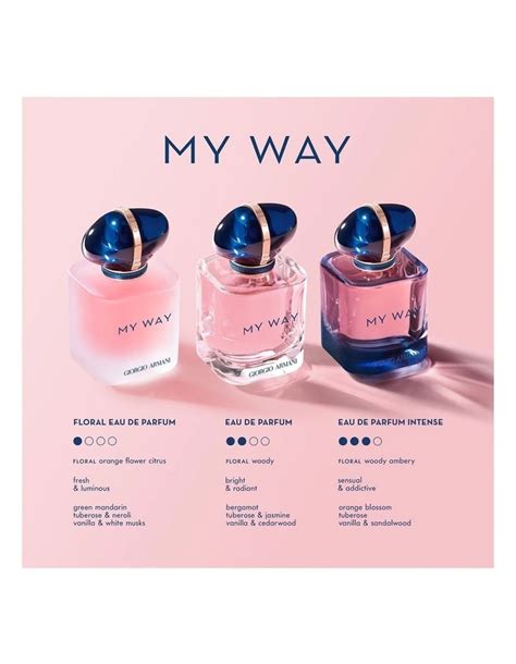 myer giorgio armani